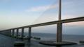The Sunshine Skyway Bridge Tampa Bay Florida 