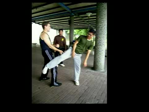 Wing Chun Kicking and  popai 2