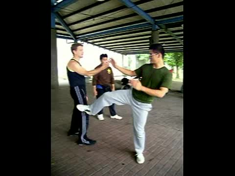 Wing Chun kicking and popai 3