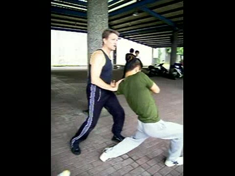 Wing Chun Kicking and Popai 6