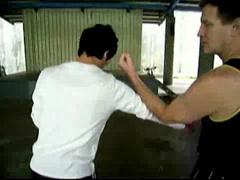 Wing Chun Kicking and Popai 16