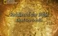 Los enigmas de la Biblia (Los secretos de los manuscritos del Mar Muerto)