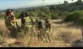 TRAILER; Firefighters from San Diego Fire and EMS on The Battalion