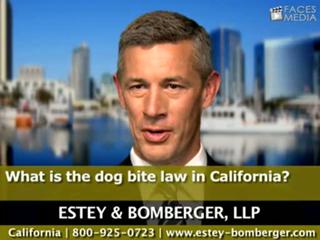 What Is The Dog Bite Law In California?