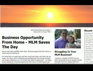 Business Opportunity From Home - MLM Marketing