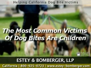 Helping California Dog Bite Victims
