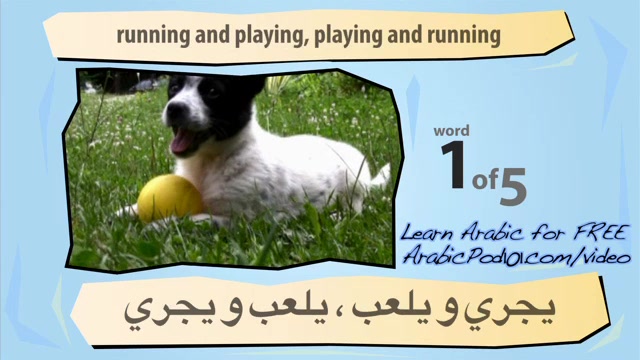 Learn Arabic - Learn with Arabic Common Animal Videos