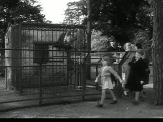 Schock! The Quatermass Xperiment (1955)