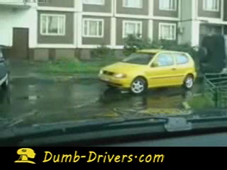 Dumb Driver | Parking or 3 point turn?