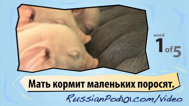 Learn Russian - Learn with Russian Farm Animal Videos