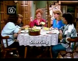 Facts of Life - Taking a Chance on Love S06E07