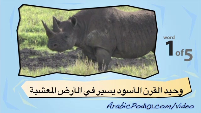 Learn Arabic - Learn with Arabic Safari Videos