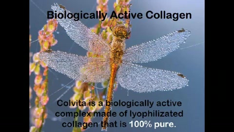 Every Super Bowl Player Even Olympic Athlete Need Colvita