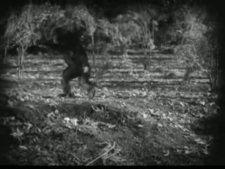Tarzan - Der Affenmann