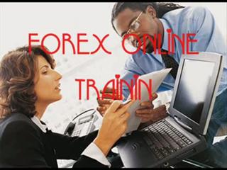 forex online training