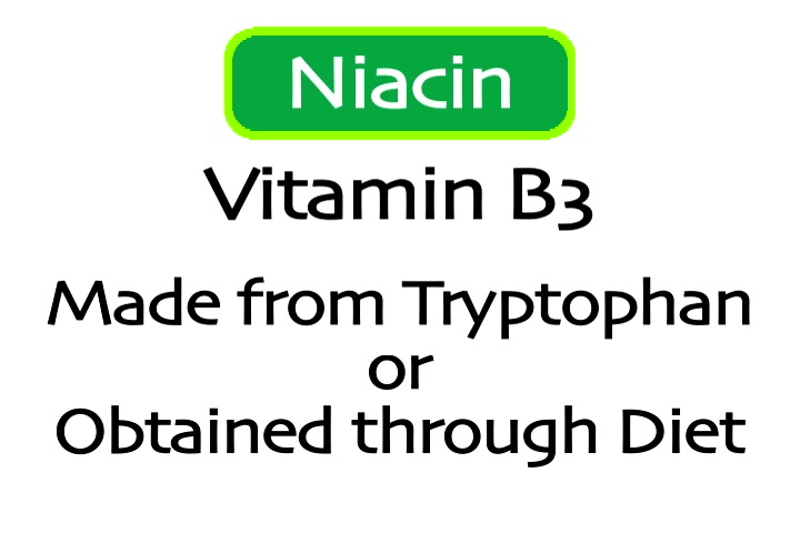 The Health Benefits of Niacin