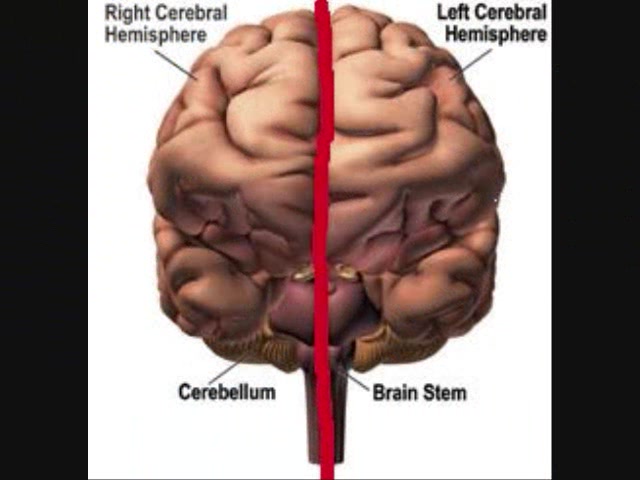 Orem Chiropractor Brain Lateralization Pain