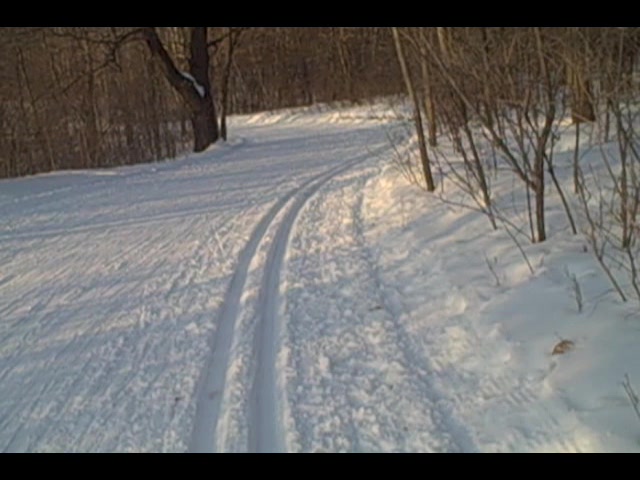 Cross Country Skiing Hylands Bloomington MN