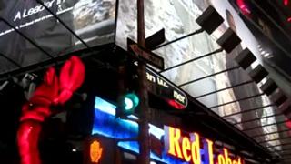 Barack Obama Unauthorized Times Square New York City Billboard 