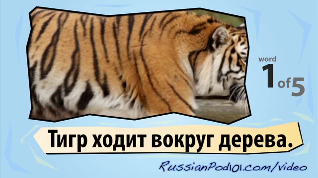 Learn Russian - Learn with Russian Big Cats Videos