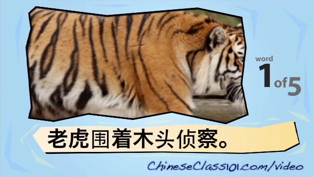 Learn Chinese-learn with Chinese Big Cats video