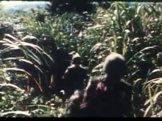 Vietnam - The Ten Thousand Day War: 4 of 13 Uneasy Allies