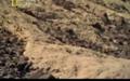 El secreto de las lineas de Nazca.2009 (Documental NatGeo) [SATRip][xvid-mp3].46m.por bizzentte.avi