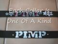 Personalized Designer Dog Collars Pimped Out