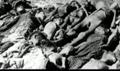 Aghet - Ein Volkermord - Holocaust Turkei  Berlin Juden Armenier Kurden Obama Infokrieg irak hitler
