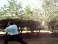 Atlanta's Northern Shaolin Kung Fu 2010 - PATHS Atlanta: Martial Arts & More 