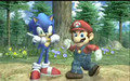 Super Smash bros Brawl:Sonic Joins the brawl