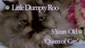 Her Royal Mewness - Purina ONE Calendar Cats