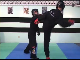 Sport Karate â Practice with Just the Hook Kick