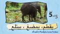learn Arabic-Learn with Arabic jungle animals video