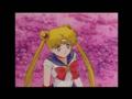  A Dedication To Sailor Moon