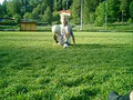 Soccer Freestyle me and jokke 2004
