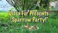 “Sparrow Party”- Ultra Fur