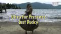 “Just Ducky”- Ultra Fur