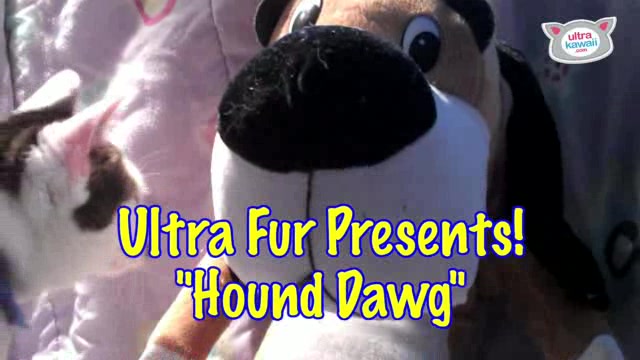 âHound Dawg" - Ultra Fur