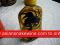 Buy SNAKE WINE or SCORPION WINE from CHINA and VIETNAM