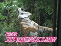 H!M061029 Zoo Shashin Battle