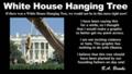 White House Hanging Tree
