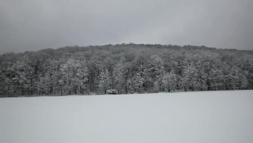 Frozen Winter Lake
