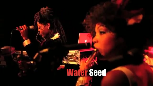 Water Seed Cd Release Atlanta