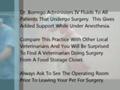 Veterinarian In Port Saint Lucie Cat Surgery (FULL VIDEO)