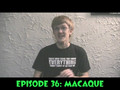 60 Seconds Episode 36: Macaque