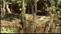 Australiens Kakadu Nationalpark