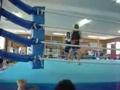 Niigata Prefectural High School Boxing Tournament Day 3
