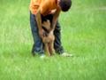 Titan German Shepherd puppy training