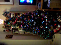 Harold's Christmas Tree 2006